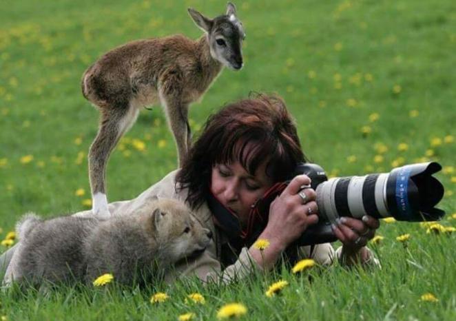 The Challenges Of Getting The Perfect Snapshot
