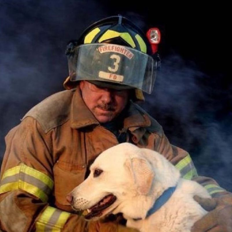 The Roles Of Being A Firefighter