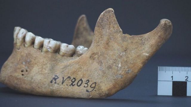 遺骸已被命名為RV2039。